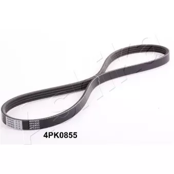 Courroie trapézoïdale à nervures ASHIKA 112-4PK855
