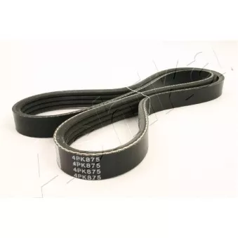 Courroie trapézoïdale à nervures ASHIKA 112-4PK875