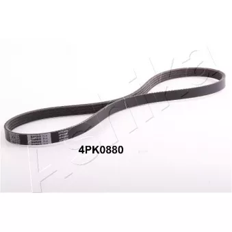 Courroie trapézoïdale à nervures ASHIKA 112-4PK880