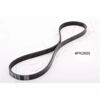 Courroie trapézoïdale à nervures ASHIKA 112-4PK885