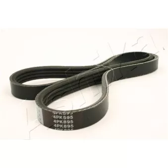 Courroie trapézoïdale à nervures ASHIKA 112-4PK895