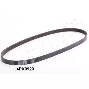 Courroie trapézoïdale à nervures ASHIKA 112-4PK920
