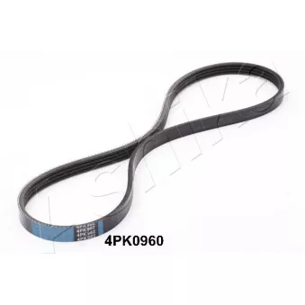 Courroie trapézoïdale à nervures ASHIKA 112-4PK960