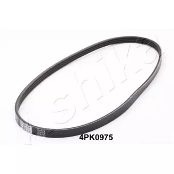 Courroie trapézoïdale à nervures ASHIKA 112-4PK975