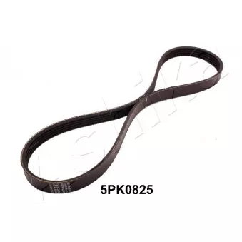 Courroie trapézoïdale à nervures ASHIKA 112-5PK0825
