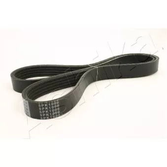 Courroie trapézoïdale à nervures ASHIKA 112-5PK1000