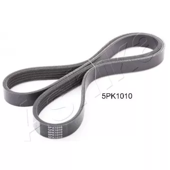 Courroie trapézoïdale à nervures ASHIKA 112-5PK1010