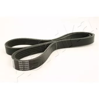 Courroie trapézoïdale à nervures ASHIKA 112-5PK1050