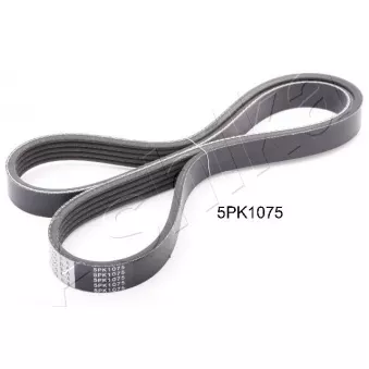 Courroie trapézoïdale à nervures ASHIKA 112-5PK1075