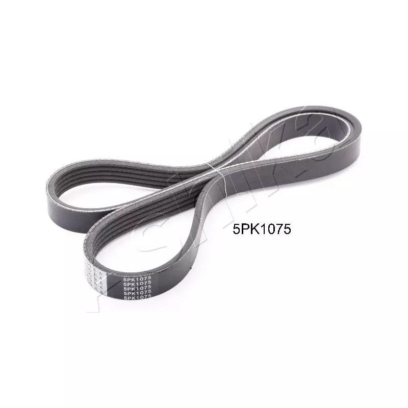 Courroie trapézoïdale à nervures ASHIKA 112-5PK1075