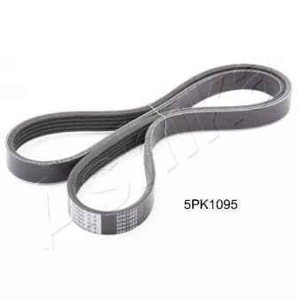 Courroie trapézoïdale à nervures ASHIKA 112-5PK1095