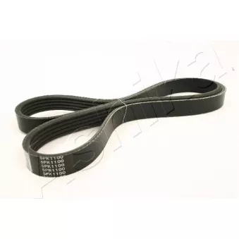 Courroie trapézoïdale à nervures ASHIKA 112-5PK1100