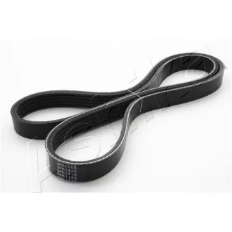 Courroie trapézoïdale à nervures ASHIKA 112-5PK1115