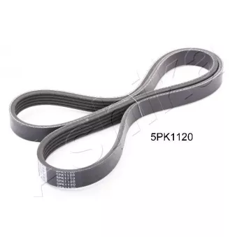 Courroie trapézoïdale à nervures ASHIKA 112-5PK1120
