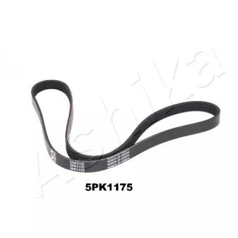 Courroie trapézoïdale à nervures ASHIKA 112-5PK1175