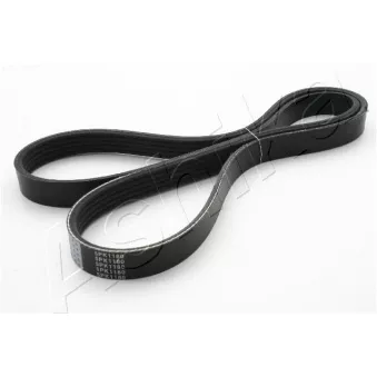 Courroie trapézoïdale à nervures ASHIKA 112-5PK1180
