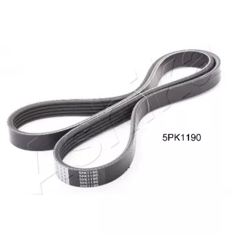 Courroie trapézoïdale à nervures ASHIKA 112-5PK1190