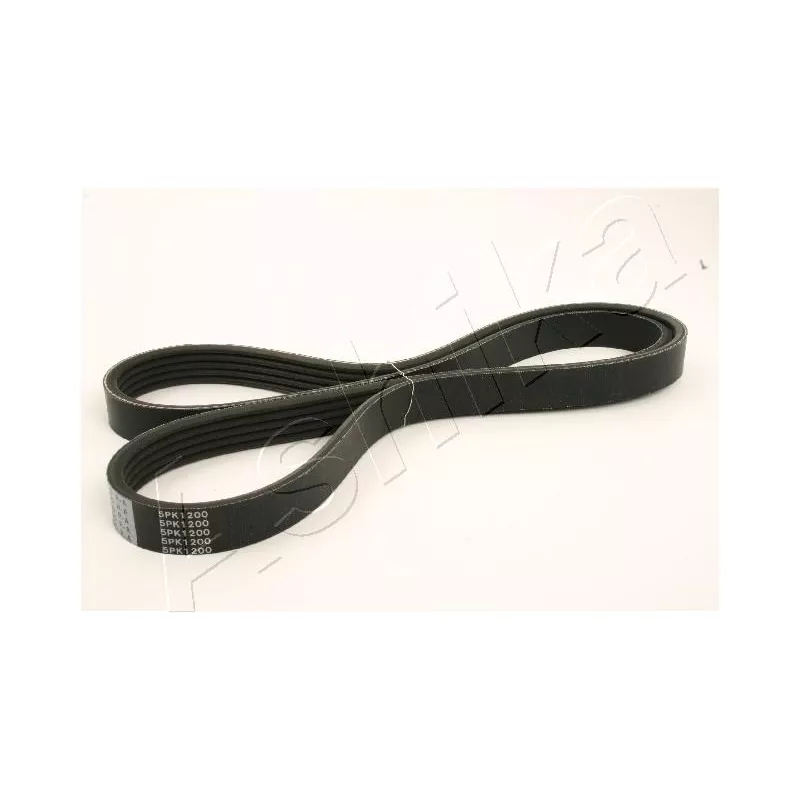 Courroie trapézoïdale à nervures ASHIKA 112-5PK1200