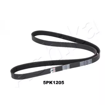 Courroie trapézoïdale à nervures ASHIKA 112-5PK1205