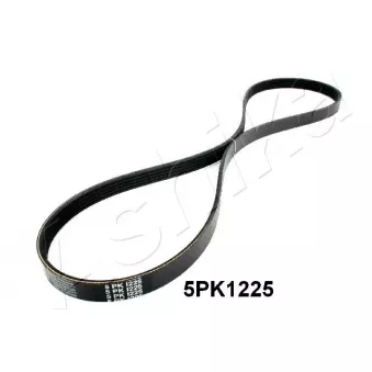 Courroie trapézoïdale à nervures ASHIKA 112-5PK1225