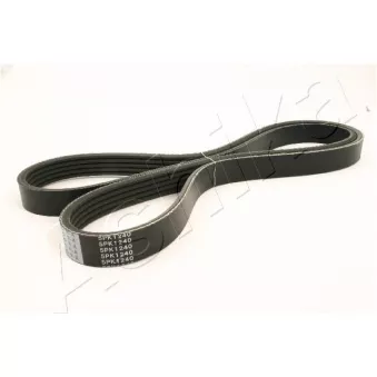 Courroie trapézoïdale à nervures ASHIKA 112-5PK1240