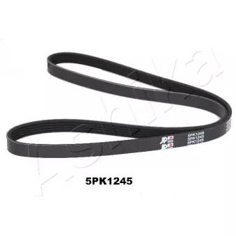 Courroie trapézoïdale à nervures ASHIKA 112-5PK1245