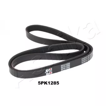 Courroie trapézoïdale à nervures ASHIKA 112-5PK1285
