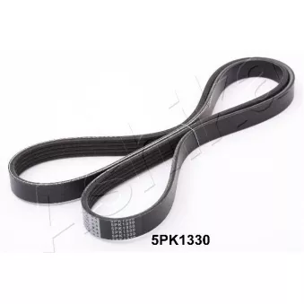 Courroie trapézoïdale à nervures ASHIKA 112-5PK1330