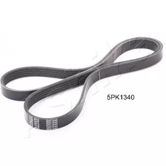 Courroie trapézoïdale à nervures ASHIKA 112-5PK1340
