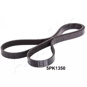 Courroie trapézoïdale à nervures ASHIKA 112-5PK1350