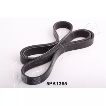 Courroie trapézoïdale à nervures ASHIKA 112-5PK1365