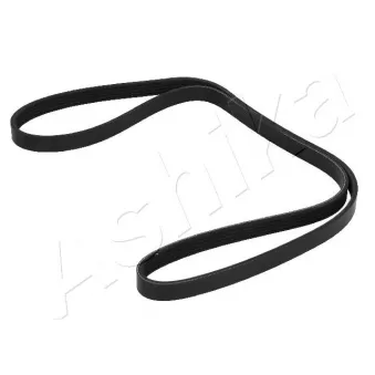 Courroie trapézoïdale à nervures ASHIKA 112-5PK1435