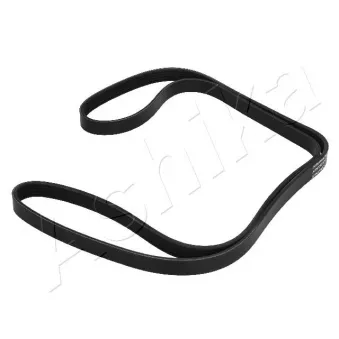 Courroie trapézoïdale à nervures ASHIKA 112-5PK1715