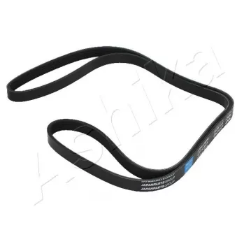 Courroie trapézoïdale à nervures ASHIKA 112-5PK1720