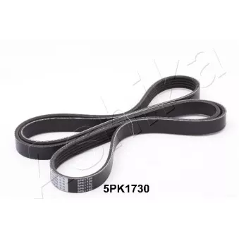 Courroie trapézoïdale à nervures ASHIKA 112-5PK1730