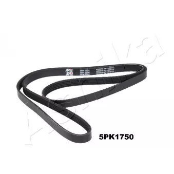 Courroie trapézoïdale à nervures ASHIKA 112-5PK1750