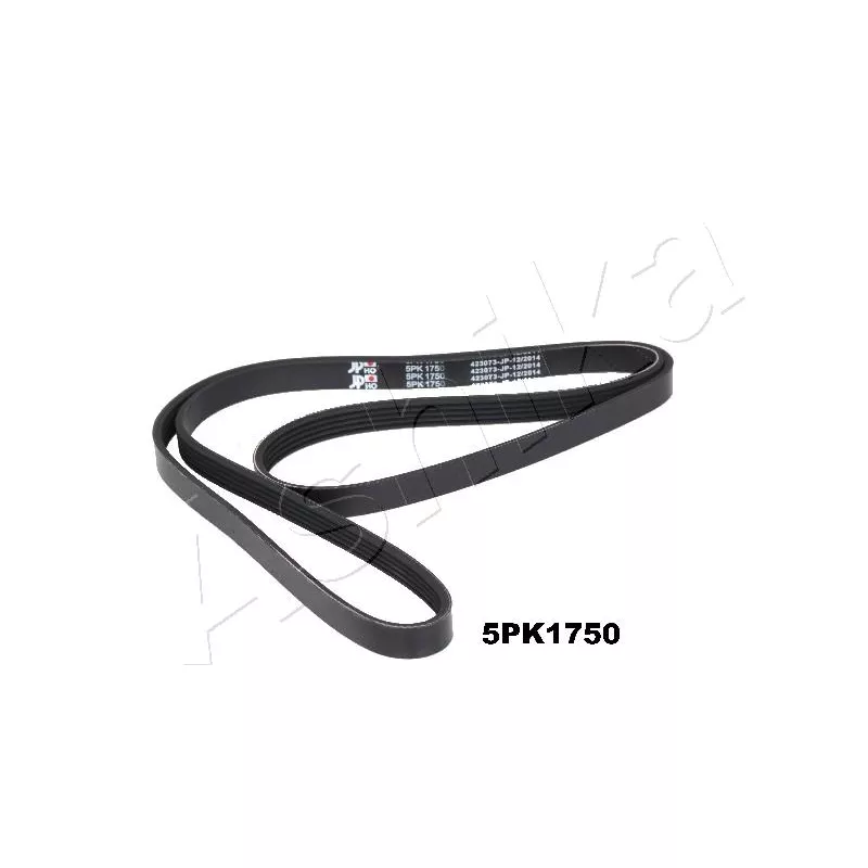 Courroie trapézoïdale à nervures ASHIKA 112-5PK1750