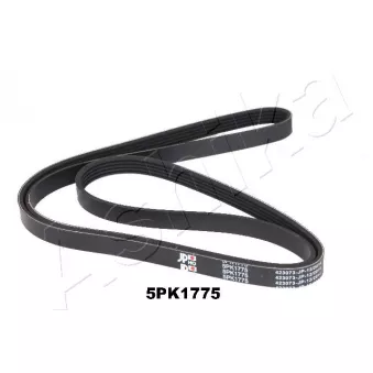 Courroie trapézoïdale à nervures ASHIKA 112-5PK1775
