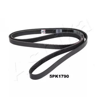 Courroie trapézoïdale à nervures ASHIKA 112-5PK1790
