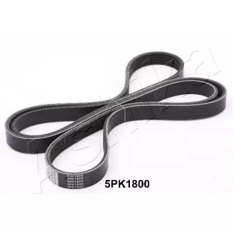Courroie trapézoïdale à nervures ASHIKA 112-5PK1800