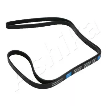 Courroie trapézoïdale à nervures ASHIKA 112-5PK2030
