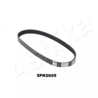 Courroie trapézoïdale à nervures ASHIKA 112-5PK695