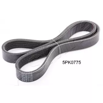 Courroie trapézoïdale à nervures ASHIKA 112-5PK775