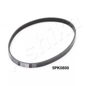 Courroie trapézoïdale à nervures ASHIKA 112-5PK800