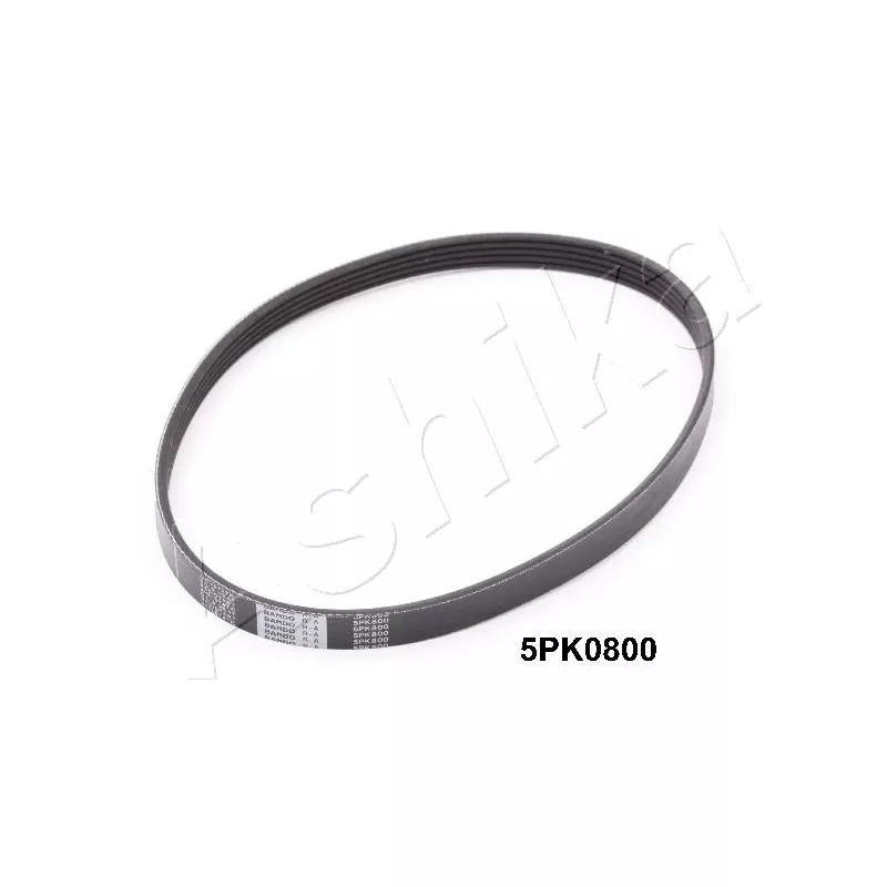 Courroie trapézoïdale à nervures ASHIKA 112-5PK800