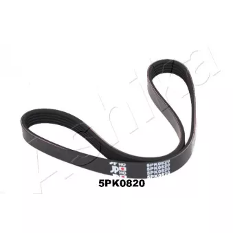 Courroie trapézoïdale à nervures ASHIKA 112-5PK820