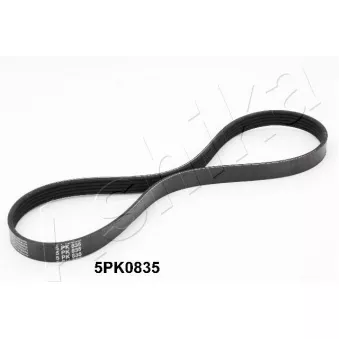 Courroie trapézoïdale à nervures ASHIKA 112-5PK835