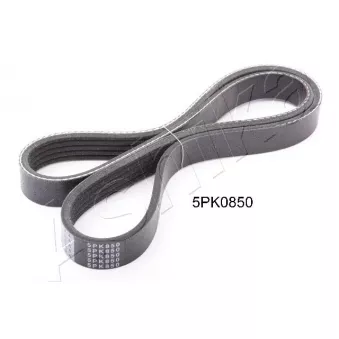 Courroie trapézoïdale à nervures ASHIKA 112-5PK850
