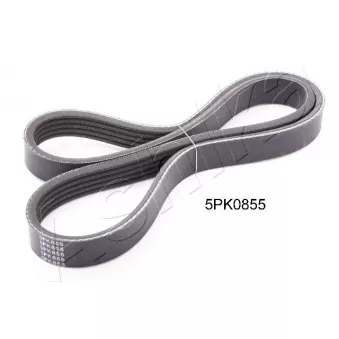 Courroie trapézoïdale à nervures ASHIKA 112-5PK855