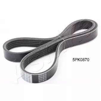 Courroie trapézoïdale à nervures ASHIKA 112-5PK870